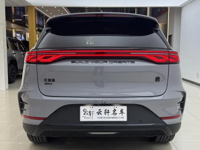 BYD Tang DM 2025 Model DM-i 115KM Zunrong Model – фото 6