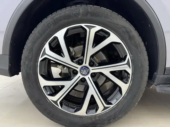 BYD Tang DM 2025 Model DM-i 115KM Zunrong Model – фото 8
