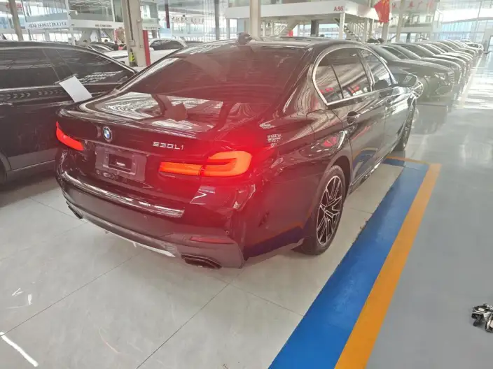 BMW 5 Series 2022 Model 525Li M Sports Set – фото 4