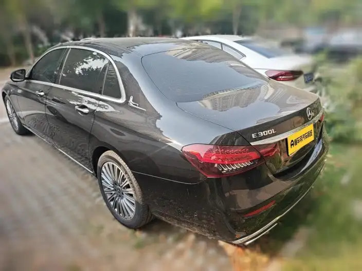 Mercedes-Benz E-Class 2023 Model Facelift E 300 L Luxury Model sedan – фото 4