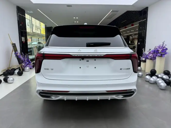 HONGQI E-HS9 2022 Model 690km Flag Xiang Edition VI seat – фото 6