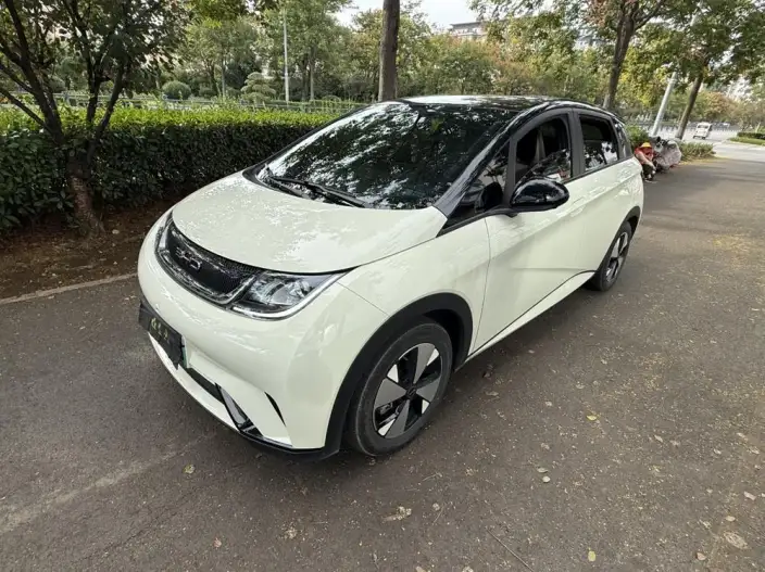 BYD Dolphin 2023 Model Free Edition – фото 1