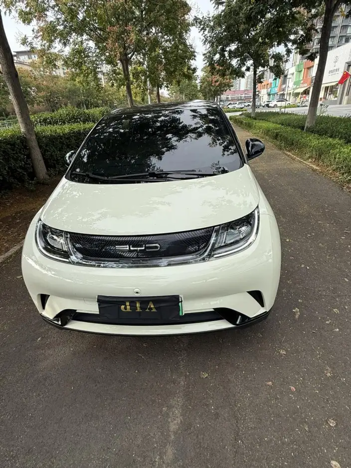 BYD Dolphin 2023 Model Free Edition – фото 2