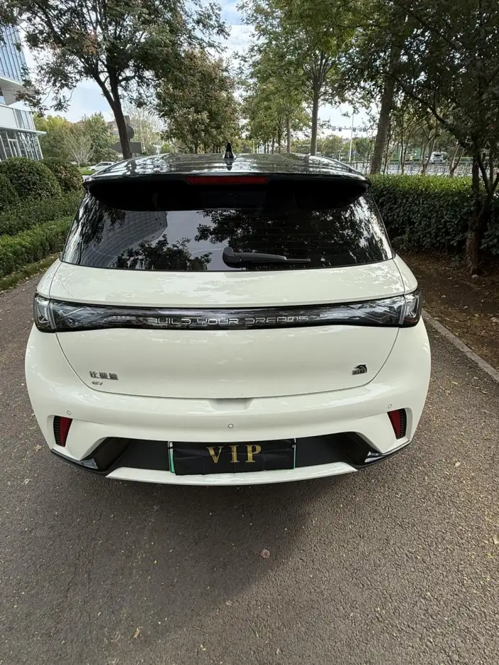 BYD Dolphin 2023 Model Free Edition – фото 4