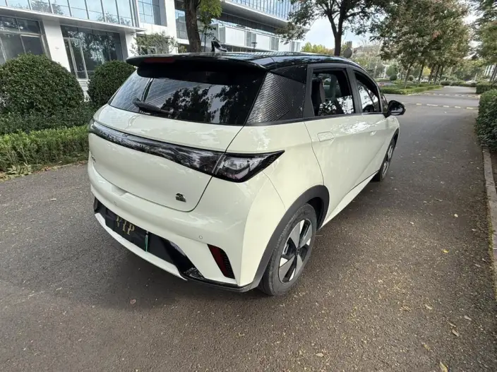 BYD Dolphin 2023 Model Free Edition – фото 5