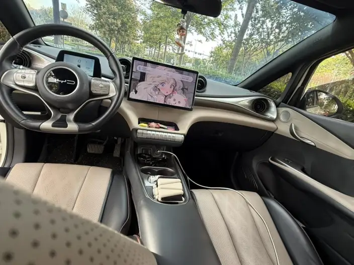 BYD Dolphin 2023 Model Free Edition – фото 6