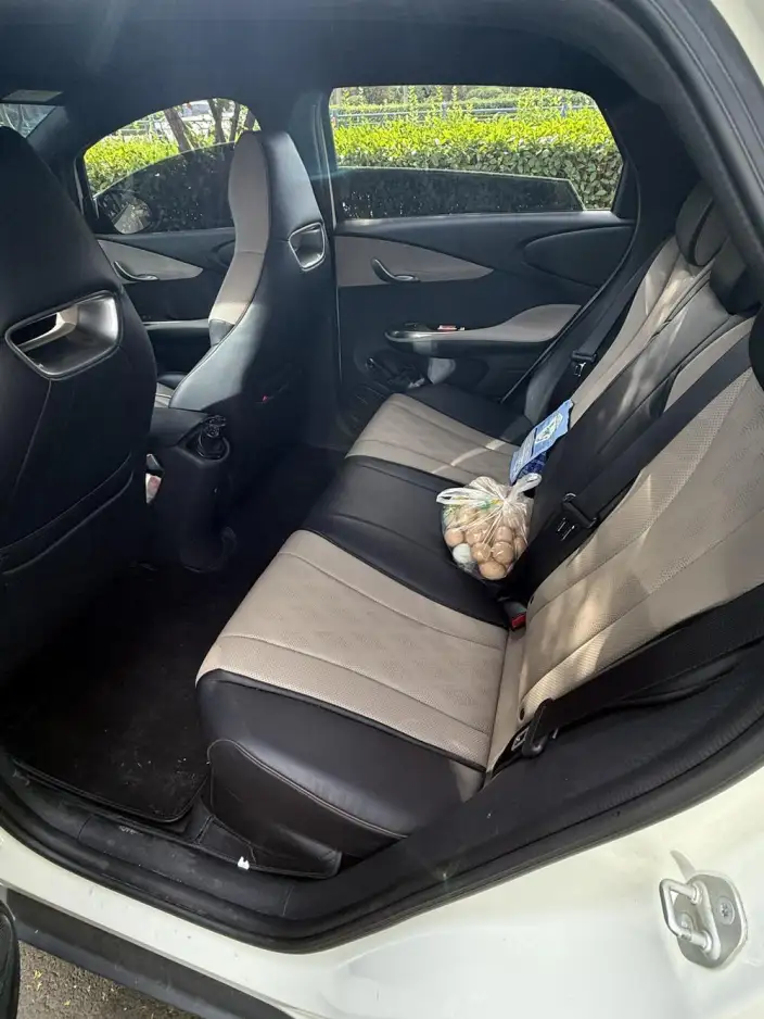 BYD Dolphin 2023 Model Free Edition – фото 8
