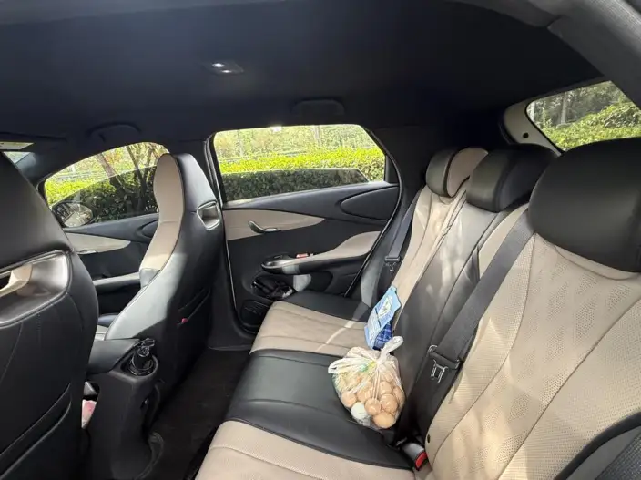 BYD Dolphin 2023 Model Free Edition – фото 10