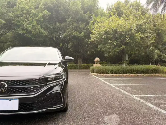 Volkswagen Passat 2024 Model 330TSI Starry sky Elite Edition – фото 9