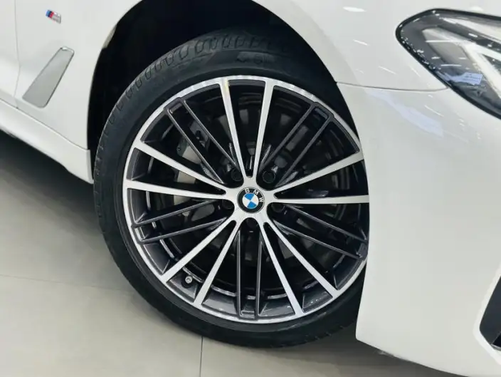 BMW 5 Series 2022 Model 530Li Leading Model M Sports Set – фото 9