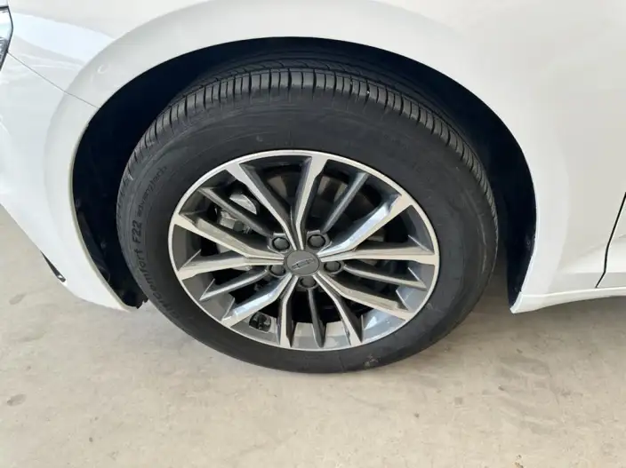 Geely StarRui 2023 Model 2.0T Luxury Model – фото 7