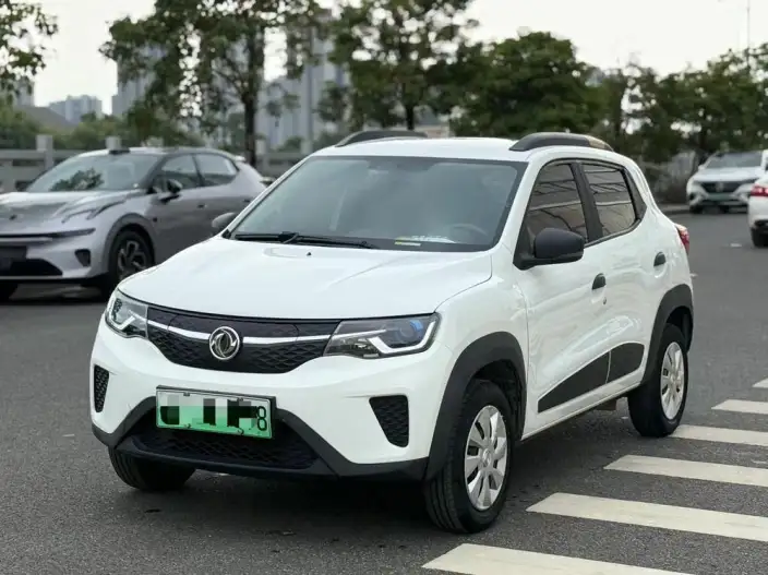 Dongfeng Nano EX1 2022 Model Zhi Xiang Edition – фото 10