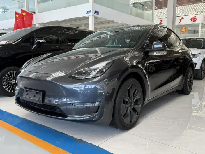 Model Y 2024 Model Long Battery Life Pro All-wheel drive version – фото 1