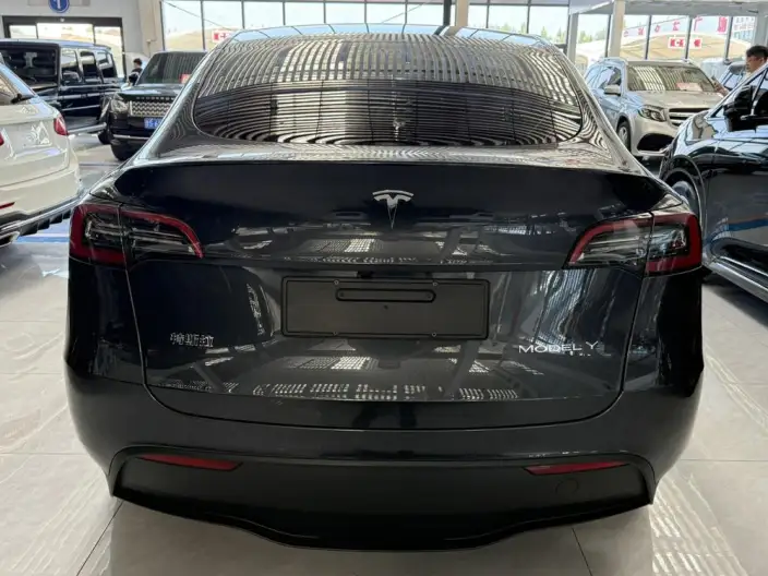 Model Y 2024 Model Long Battery Life Pro All-wheel drive version – фото 6