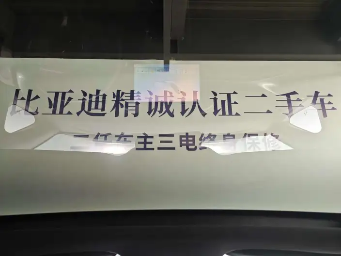 BYD Dolphin 2025 Model Smart Driving Edition 410KM Fashion Edition – фото 9
