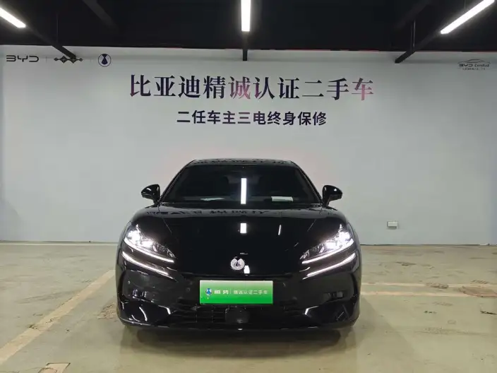 DENZA Z9GT DM 2024 Model 1100 4WD Max Edition – фото 2