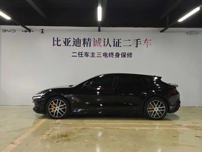 DENZA Z9GT DM 2024 Model 1100 4WD Max Edition – фото 3