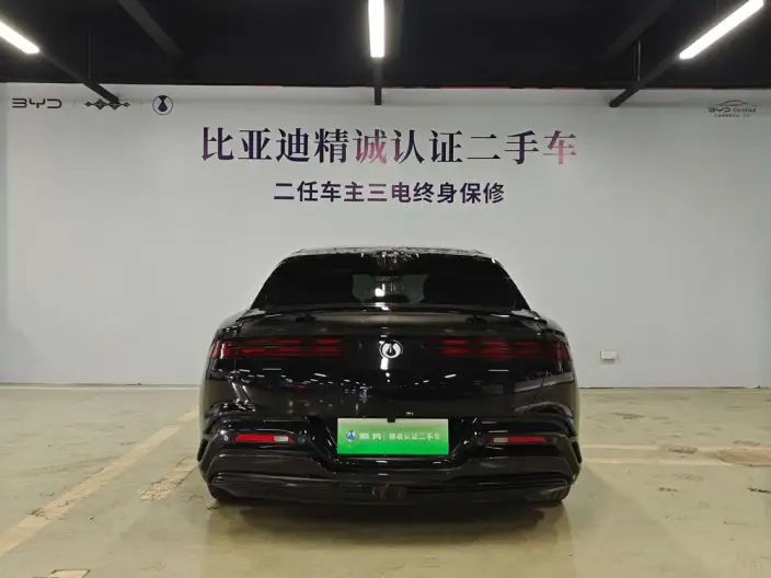 DENZA Z9GT DM 2024 Model 1100 4WD Max Edition – фото 4