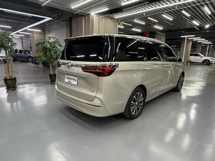 Buick GL8 2022 Model ES Luzun 653T Luxury Model – фото 6