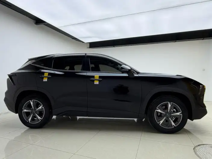 Jetour Dasheng 2024 Model 1.5T DCT Star Edition PRO – фото 8