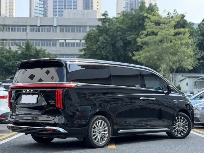 Wey Gaoshan P HEV 2025 Model 4WD Wey Gaoshan 8 – фото 4