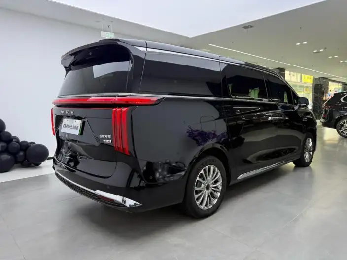 Wey Gaoshan P HEV 2025 Model 4WD Wey Gaoshan 8 – фото 7