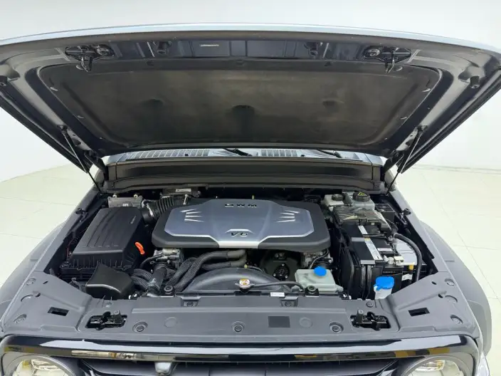 Tank 300 2024 Model 330 3.0T V6 – фото 10
