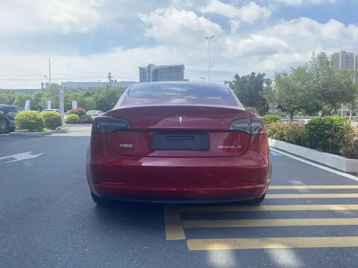 Model 3 2022 Model Rear-wheel drive version – фото 5