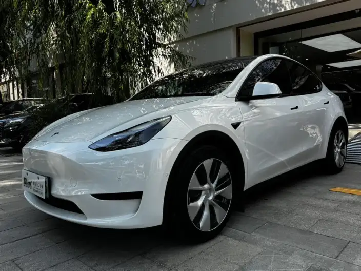Model Y 2022 Model Rear-wheel drive version – фото 1