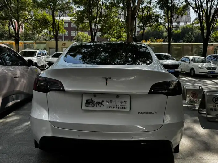 Model Y 2022 Model Rear-wheel drive version – фото 5
