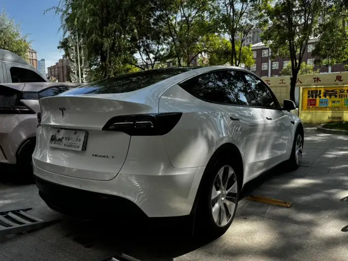 Model Y 2022 Model Rear-wheel drive version – фото 6
