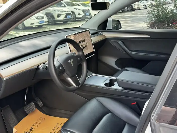 Model Y 2022 Model Rear-wheel drive version – фото 10