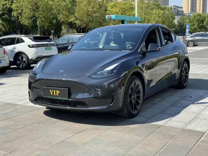 Model Y 2024 Model Rear-wheel drive version – фото 1
