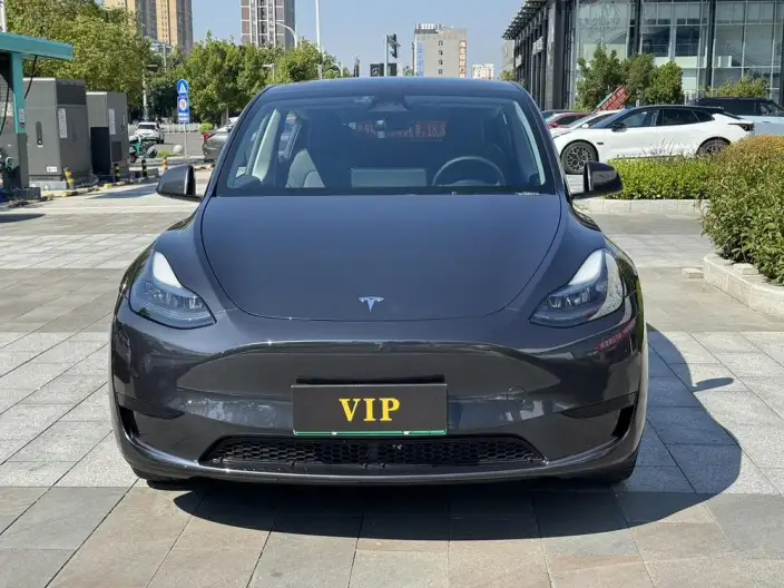 Model Y 2024 Model Rear-wheel drive version – фото 2