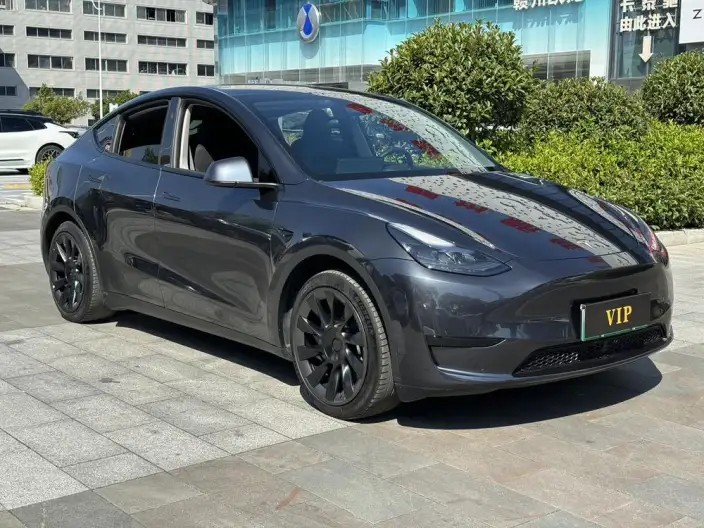 Model Y 2024 Model Rear-wheel drive version – фото 3