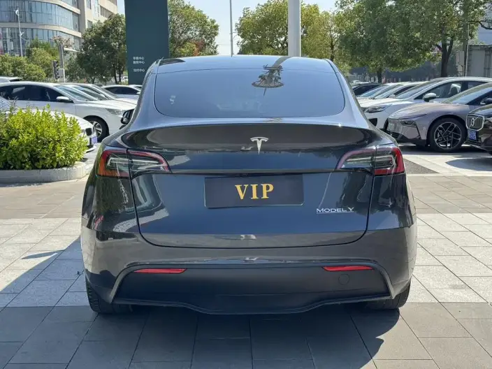 Model Y 2024 Model Rear-wheel drive version – фото 5