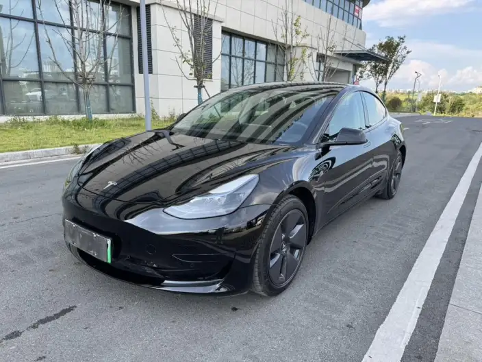 Model 3 2022 Model Rear-wheel drive version – фото 1