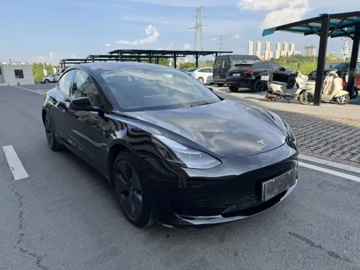 Model 3 2022 Model Rear-wheel drive version – фото 3
