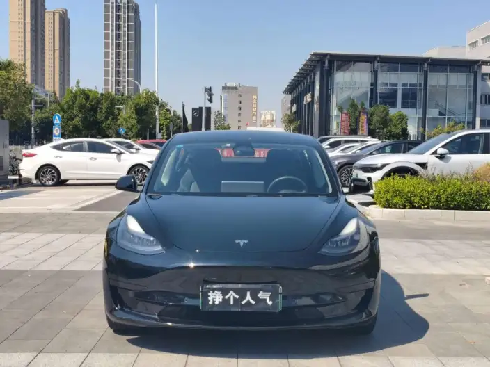 Model 3 2022 Model Rear-wheel drive version – фото 2