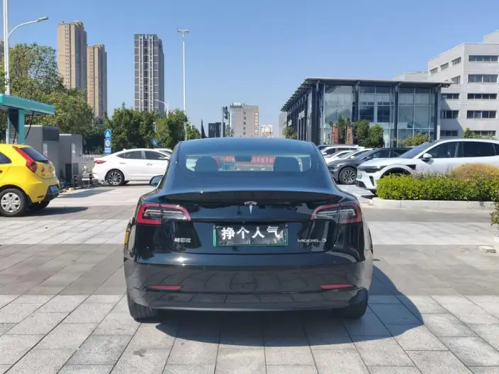Model 3 2022 Model Rear-wheel drive version – фото 5