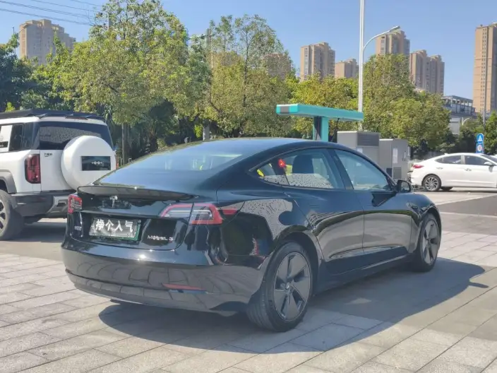 Model 3 2022 Model Rear-wheel drive version – фото 6