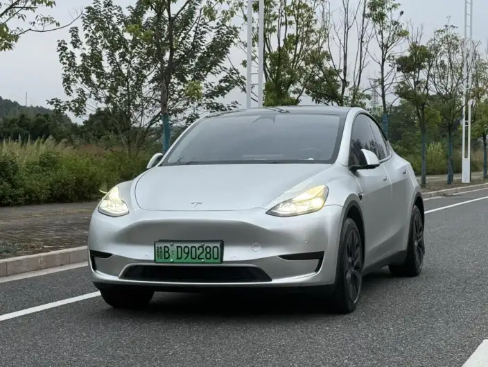 Model Y 2023 Model Rear-wheel drive version – фото 1