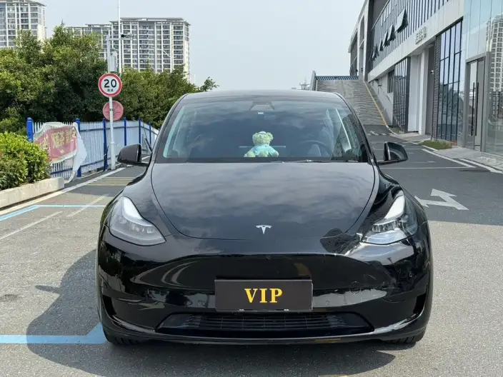 Model Y 2022 Model Facelift Rear-wheel drive version – фото 2