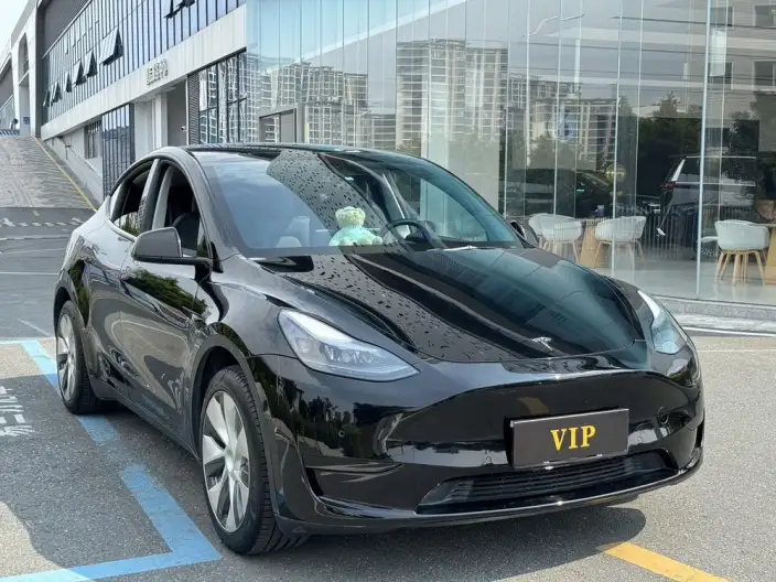 Model Y 2022 Model Facelift Rear-wheel drive version – фото 3