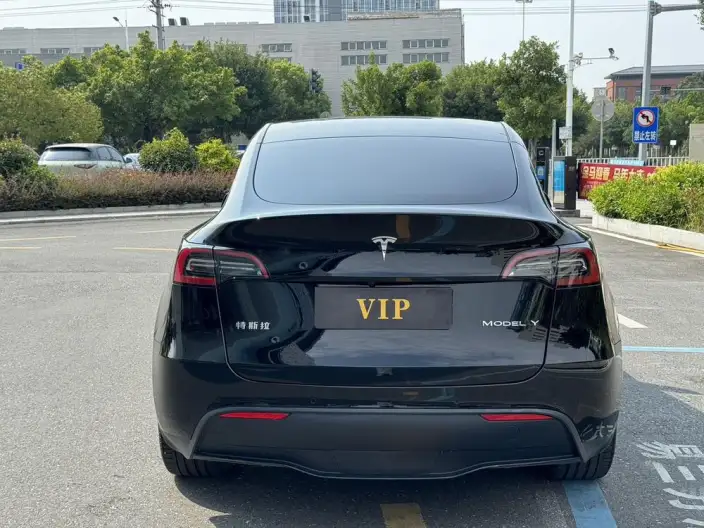 Model Y 2022 Model Facelift Rear-wheel drive version – фото 5