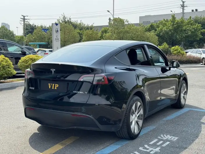 Model Y 2022 Model Facelift Rear-wheel drive version – фото 6