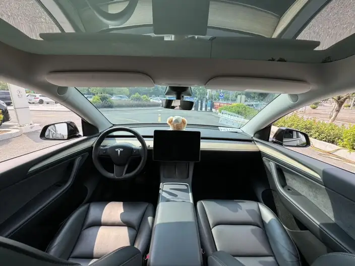 Model Y 2022 Model Facelift Rear-wheel drive version – фото 7