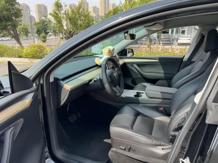 Model Y 2022 Model Facelift Rear-wheel drive version – фото 8