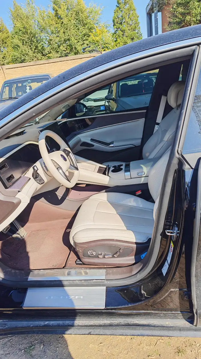 DENZA Z9 DM 2024 Model 1100 4WD Ultra Edition – фото 8