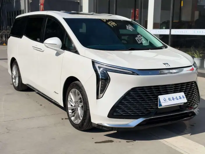 Century 2023 Model 2.0T VI seat Yunshi Edition – фото 3